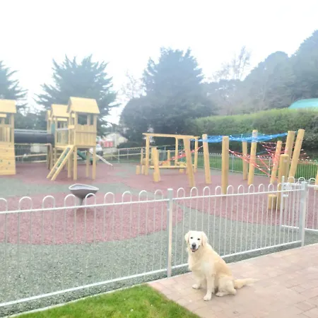 Dog Friendly 8 Berth Static Caravan Newquay Newquay (Cornwall)